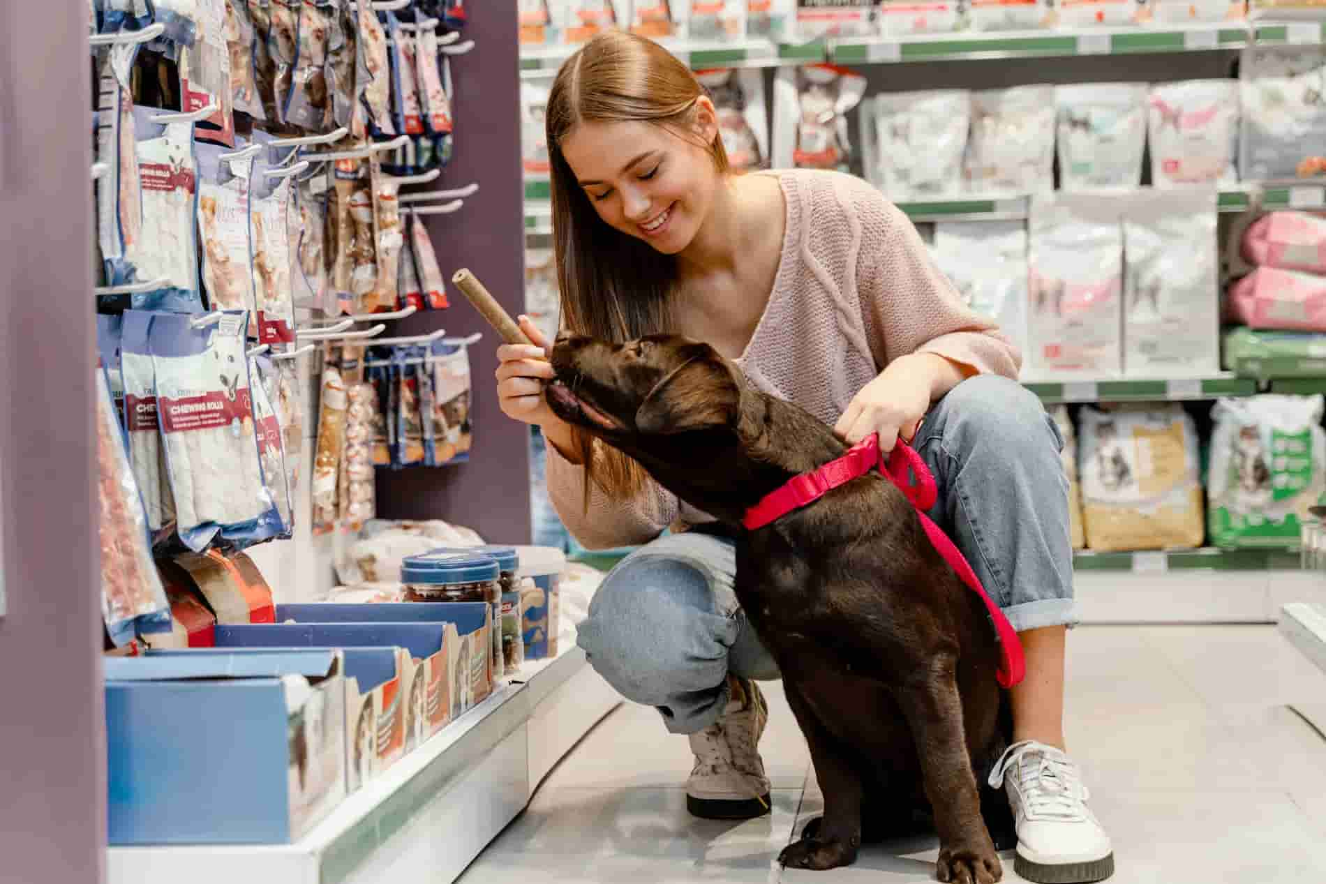 Como Abrir Empresa De Pet Shop Guia Completo Para Empreendedores - Abrir Empresa Simples