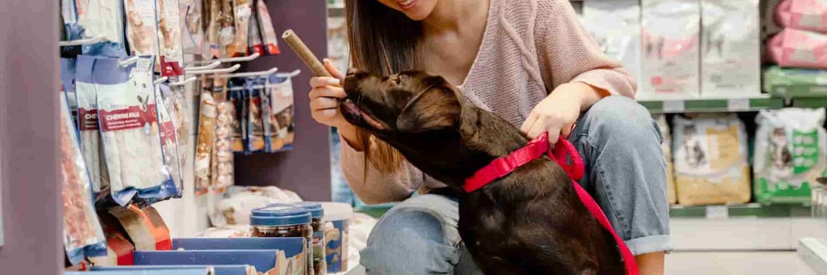 Como Abrir Empresa De Pet Shop Guia Completo Para Empreendedores - Abrir Empresa Simples